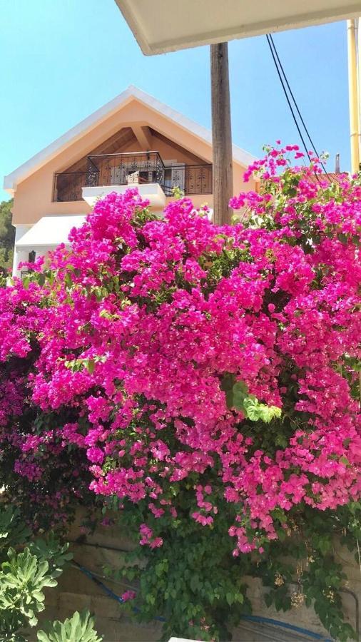 Barbara'S One Bedroom Apartments Argostoli  Luaran gambar